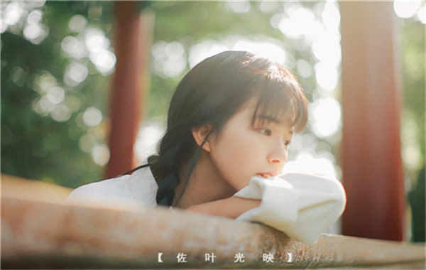 三角镇胎儿性别鉴定需要多少钱(胎儿性别鉴定的方法)